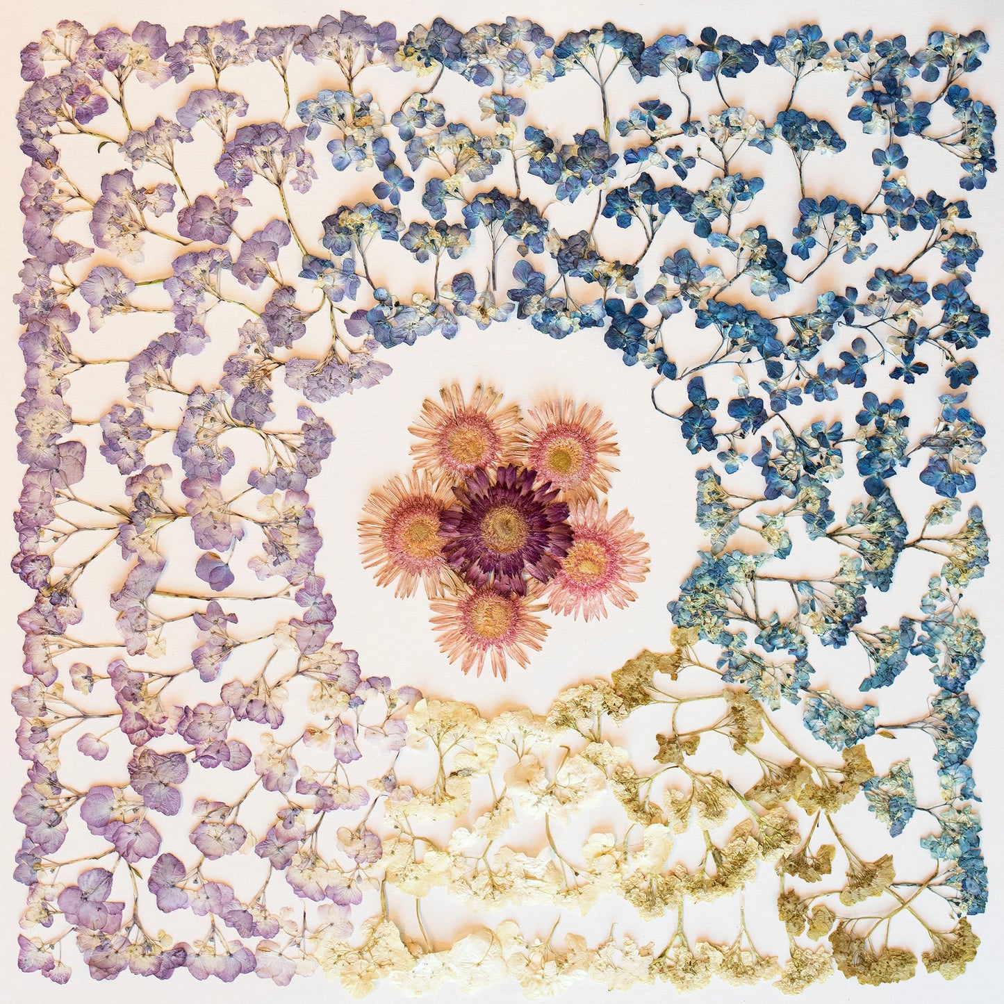 "Hydrangea Ombre" Limited Edition Silk Scarf